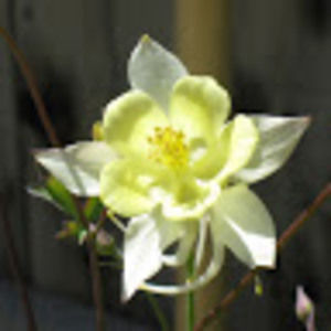 Meet your Posher, Rita